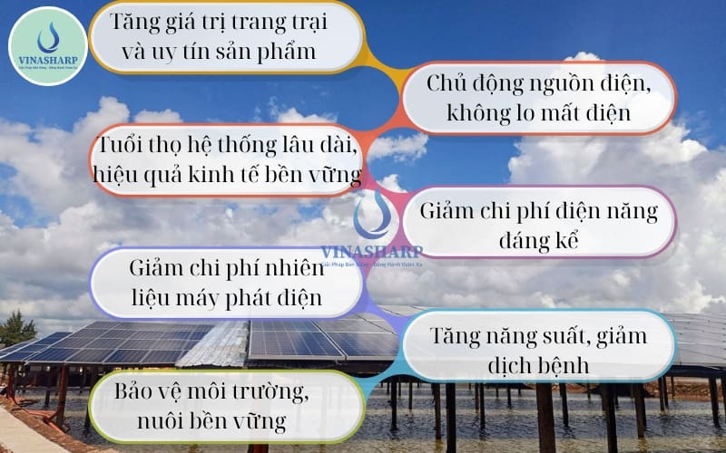 7 lợi ích vượt trội khi ứng dụng năng lượng mặt trời trong nuôi tôm cá