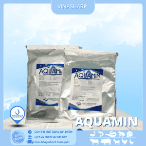 aquamin
