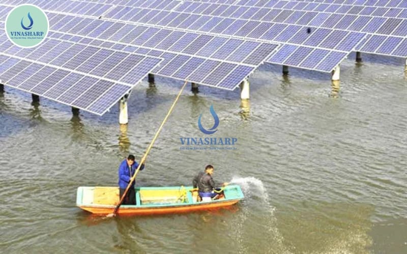 Kinh nghiệm và lưu ý thực tế cho hộ nuôi