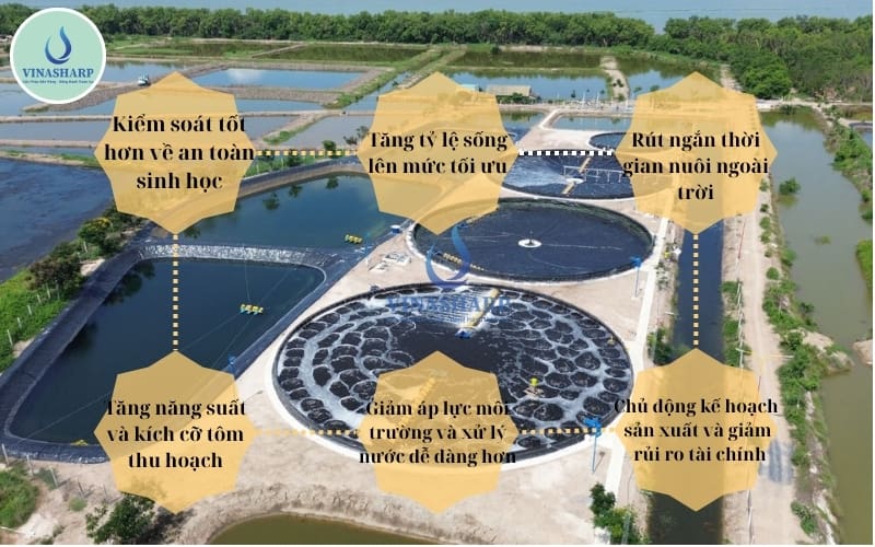 lợi ích của mô hình