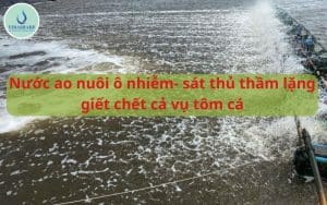 nước ao nuôi ô nhiễm, sát thủ gây hại cho tôm