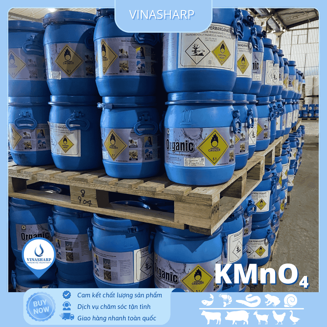 Tím Ấn Organic (4)