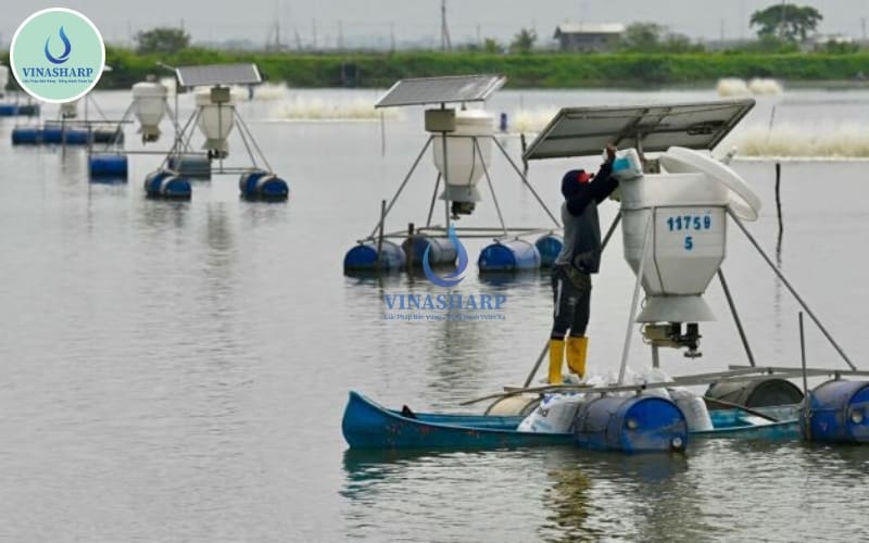 Triển vọng phát triển năng lượng mặt trời trong nuôi tôm cá tại Việt Nam và thế giới