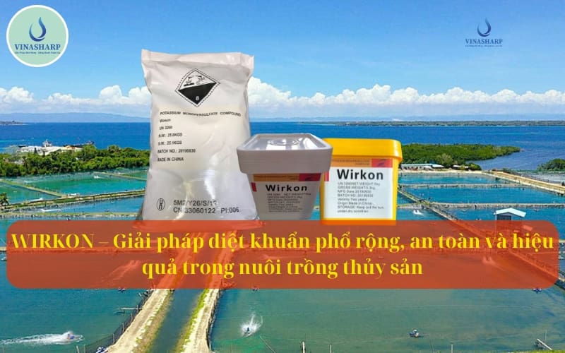 WIRKON – Giải pháp diệt khuẩn phổ rộng, an toàn và hiệu quả trong nuôi trồng thủy sản