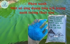 Phèn xanh – Một số ứng dụng hữu ích trong nuôi trồng thuỷ sản
