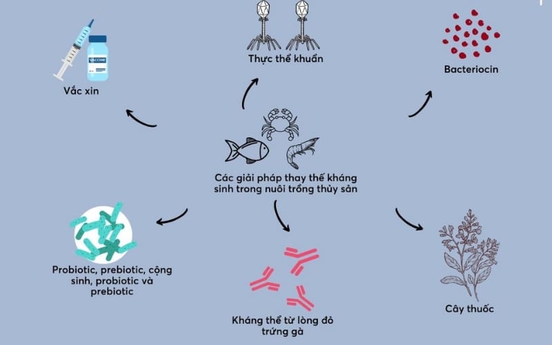 giải pháp thay thế