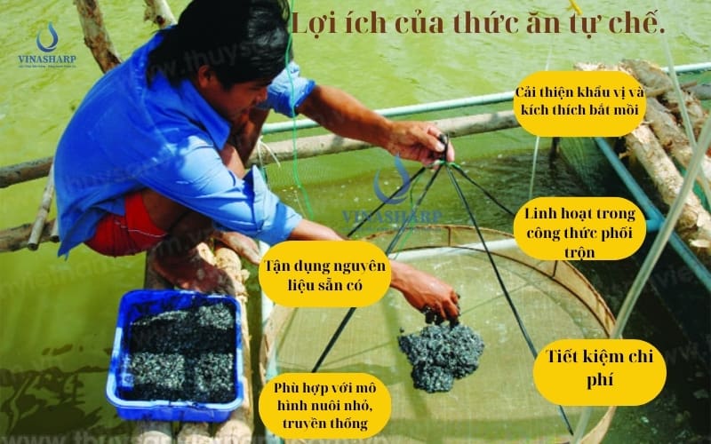 lợi ích của thức ăn tự chế