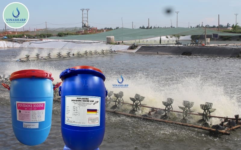 nước ao đã xử lý Iodine