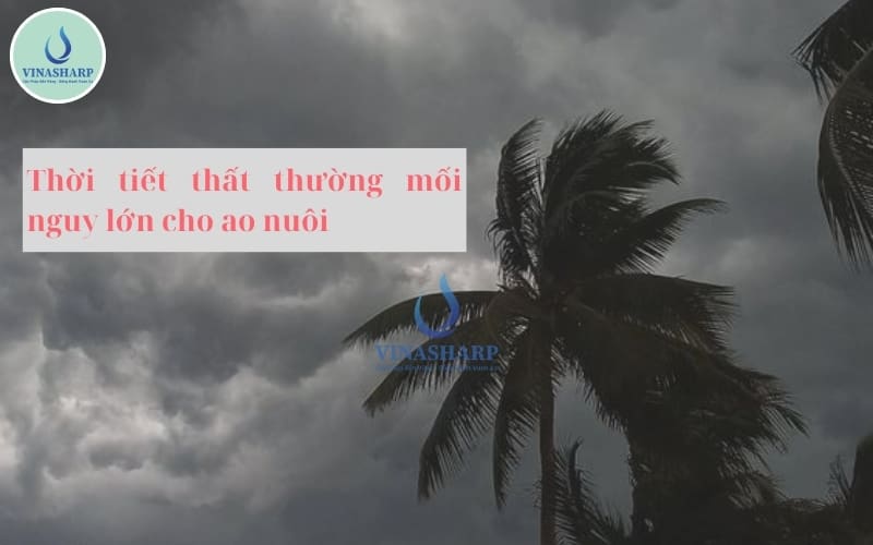 thời tiết thất thường 