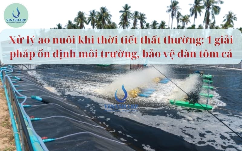xử lý thời tiết thất thường