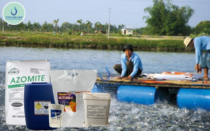 các sản phẩm hỗ trợ