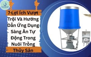 7 Lợi Ích Vượt Trội Và Hướng Dẫn Ứng Dụng Sàng Ăn Tự Động Trong Nuôi Trồng Thủy Sản