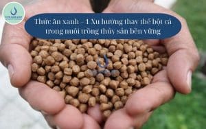 ảnh bìa - thức ăn xanh
