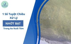 ảnh bìa - Tuyệt chiêu xử lý nhớt bạt