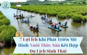 7 Lợi Ích Khi Phát Triển Mô Hình Nuôi Thủy Sản Kết Hợp Du Lịch Sinh Thái