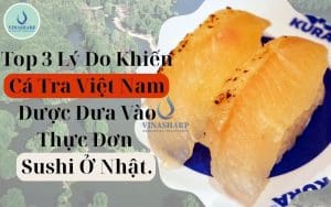 Top 3 Lý Do Khiến Cá Tra Việt Nam Được Đưa Vào Thực Đơn Sushi Ở Nhật.