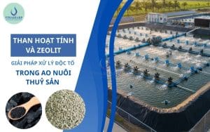 giải pháp xử lý độc tố