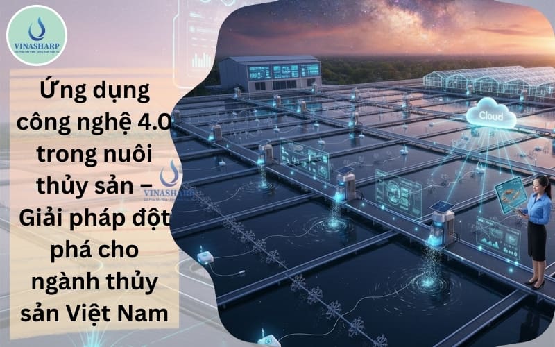 Ứng dụng công nghệ 4.0 trong nuôi thủy sản – Giải pháp đột phá cho ngành thủy sản Việt Nam