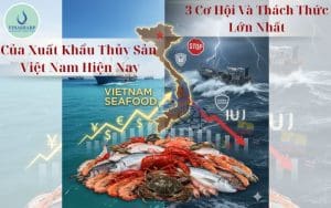 3 Cơ Hội Và Thách Thức Lớn Nhất Của Xuất Khẩu Thủy Sản Việt Nam Hiện Nay