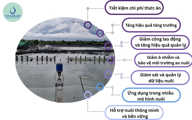 7 Lợi ích vượt trội của sàng ăn tự động