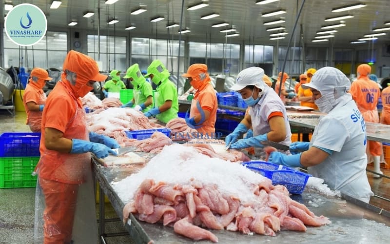 Chi phí sản xuất hợp lý, giá thành cạnh tranh