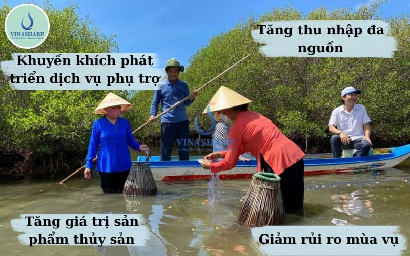 Lợi ích kinh tế của mô hình nuôi thủy sản kết hợp du lịch sinh thái