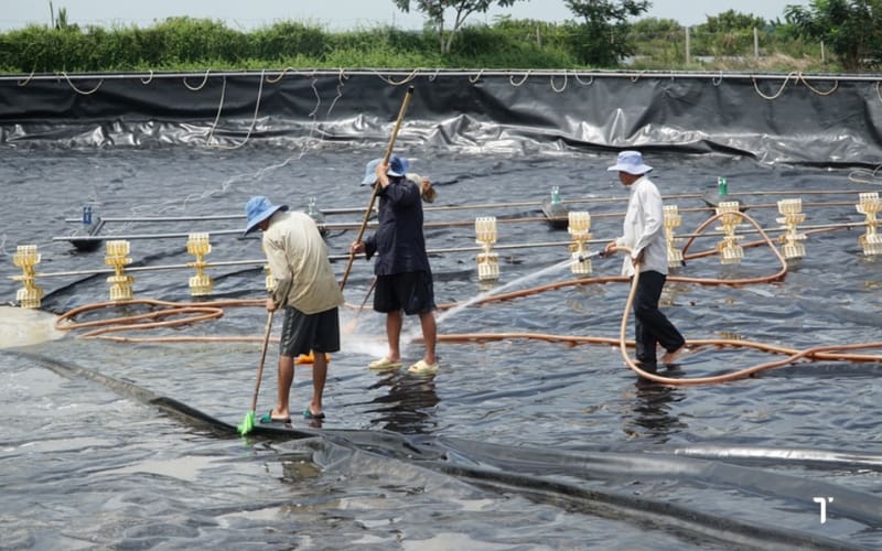 quản lý đáy ao hiệu quỉa