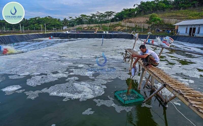 quản lý thức ăn