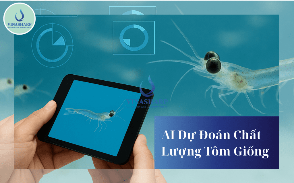 Al dự đoán chất lượng tôm giống