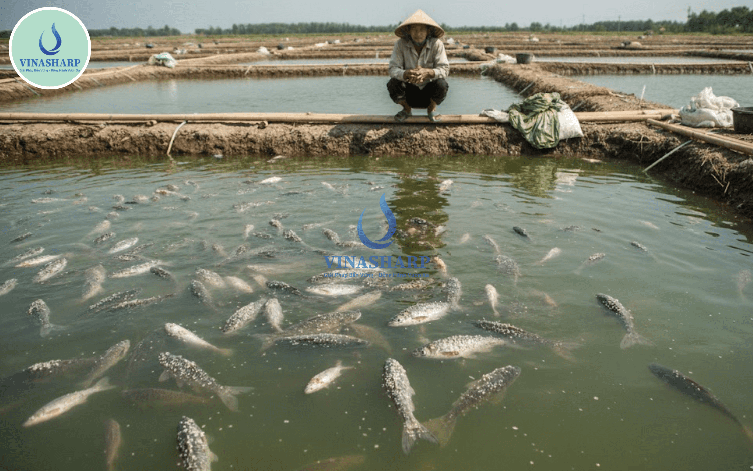 TÁC HẠI