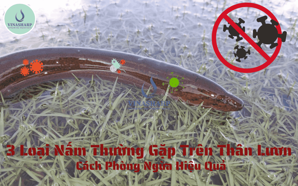 nền