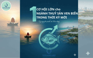 1 CƠ HỘI LỚN CHO NGÀNH THUỶ SẢN VEN BIỂN TRONG THỜI KỲ MỚI