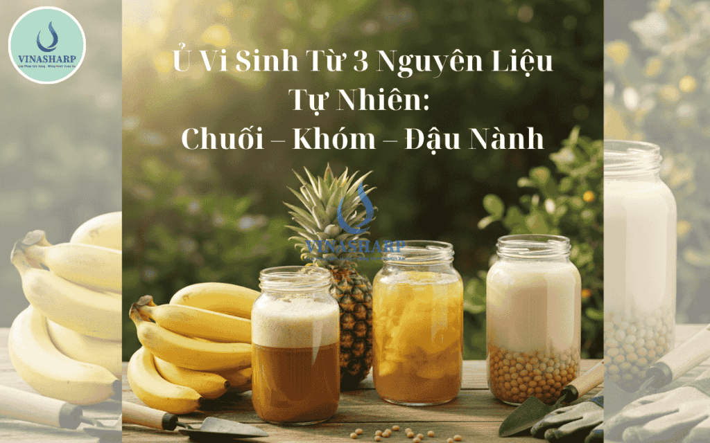 Ủ Vi Sinh Từ 3 Nguyên Liệu Tự Nhiên: Chuối – Khóm – Đậu Nành