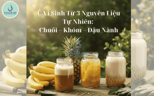 Ủ Vi Sinh Từ 3 Nguyên Liệu Tự Nhiên: Chuối – Khóm – Đậu Nành