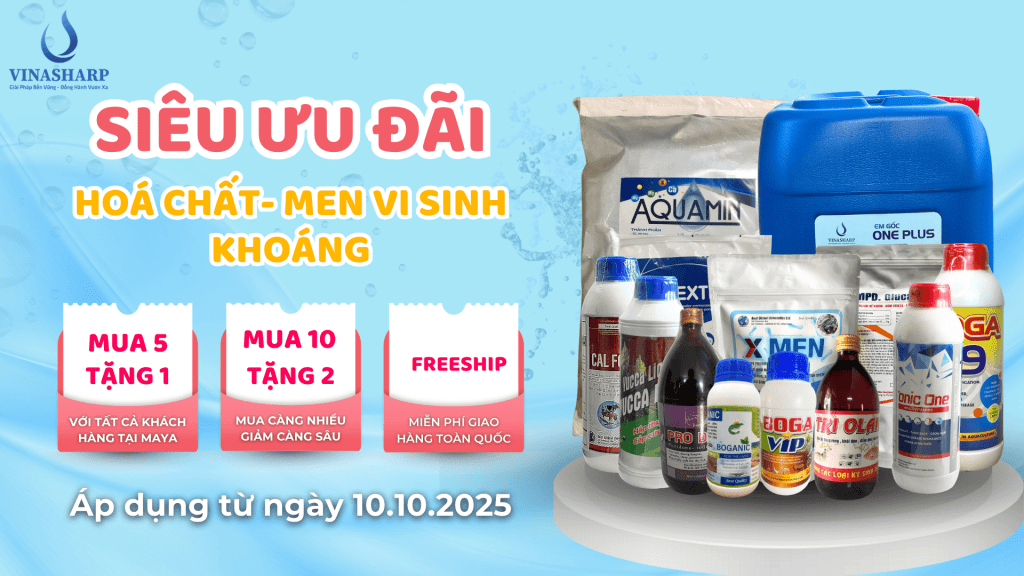 SIÊU ƯU ĐÃI MUA 5 TẶNG 1