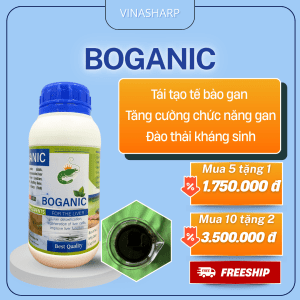 Boganic