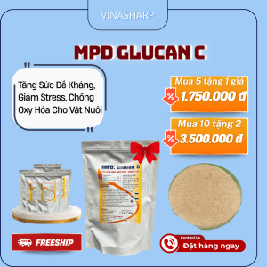 MPD Glucan C