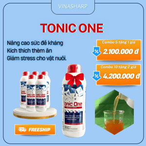 TONIC ONE