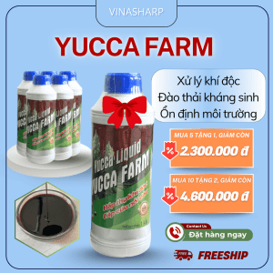 YUCCA FARM