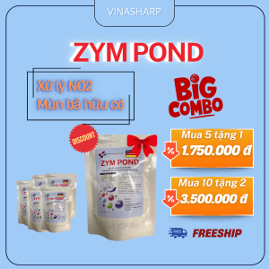 ZYM POND