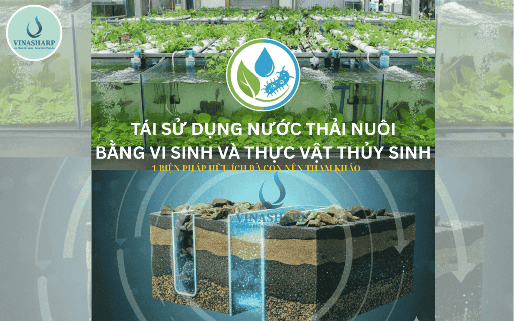 TÁI SỬ DỤNG NƯỚC THẢI NUÔI BẰNG VI SINH VÀ THỰC VẬT THỦY SINH - 1 BIỆN PHÁP HỮU ÍCH BÀ CON NÊN THAM KHẢO.