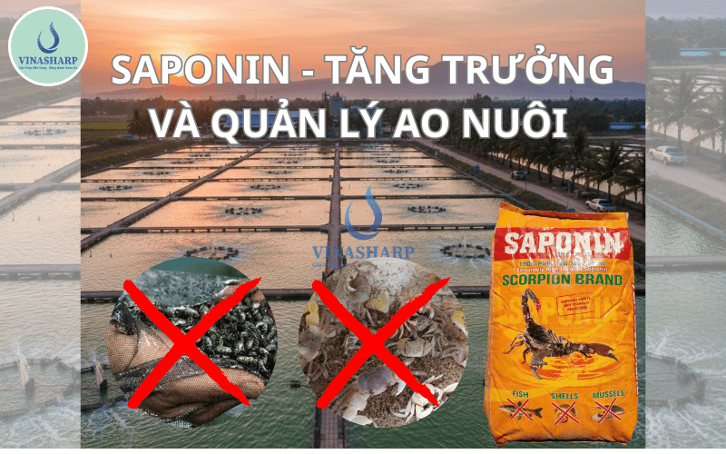 SAPONIN - TĂNG TRƯỞNG VÀ QUẢN LÝ AO NUÔI