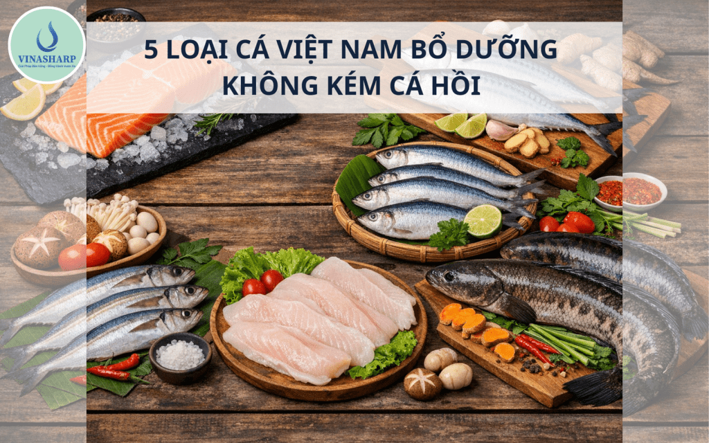 5 LOẠI CÁ DINH DƯỠNG KHÔNG KÉM CÁ HỒI