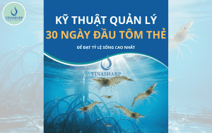 KỸ THUẬT QUẢN LÝ 30 NGÀY ĐẦU TÔM THẺ ĐỂ ĐẠT TỶ LỆ SỐNG CAO NHẤT
