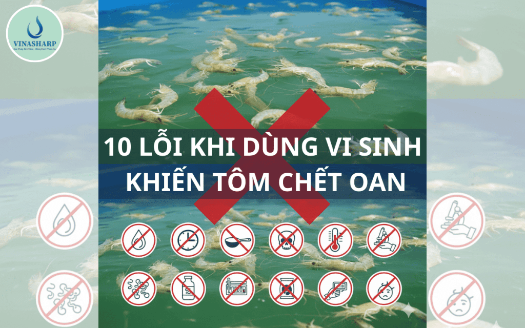 10 LỖI KHI DÙNG VI SINH KHIẾN TÔM CHẾT OAN