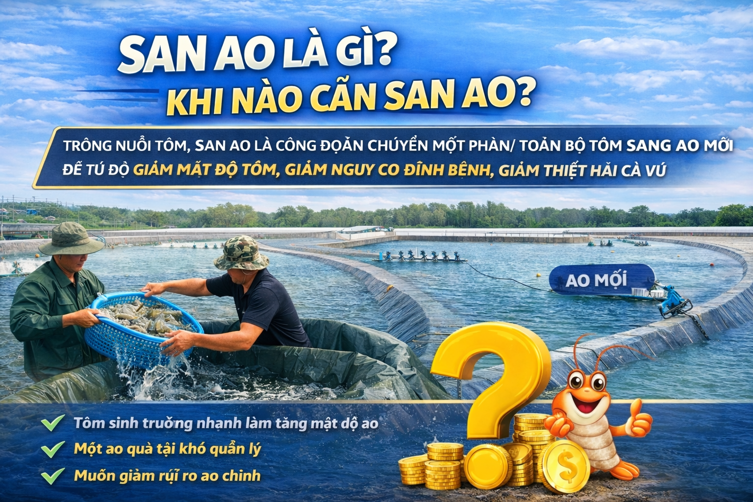 SAN AO LÀ GÌ? KHI NÀO CẦN SAN AO?
