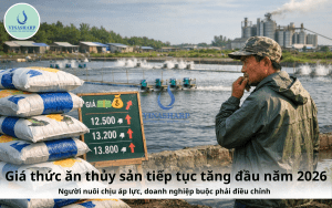 Giá thức ăn thủy sản tiếp tục tăng đầu năm 2026: Người nuôi chịu áp lực, doanh nghiệp buộc phải điều chỉnh