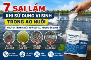 7 Sai Lầm Khi Sử Dụng Vi Sinh Trong Ao Nuôi: Nguyên Nhân Khiến Ao Nuôi Mãi Không Ổn Định