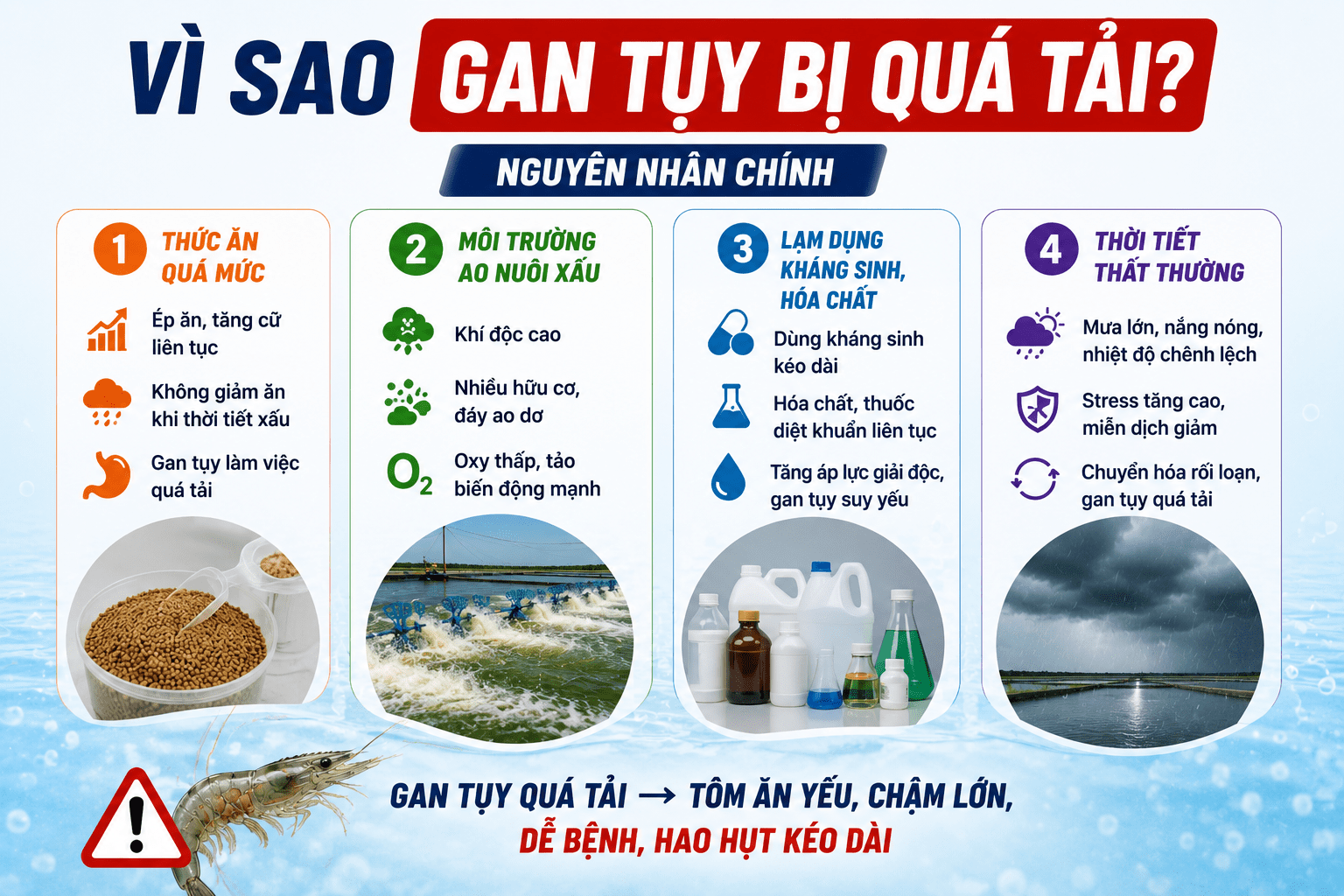 Vì Sao Gan Tụy Bị Quá Tải?