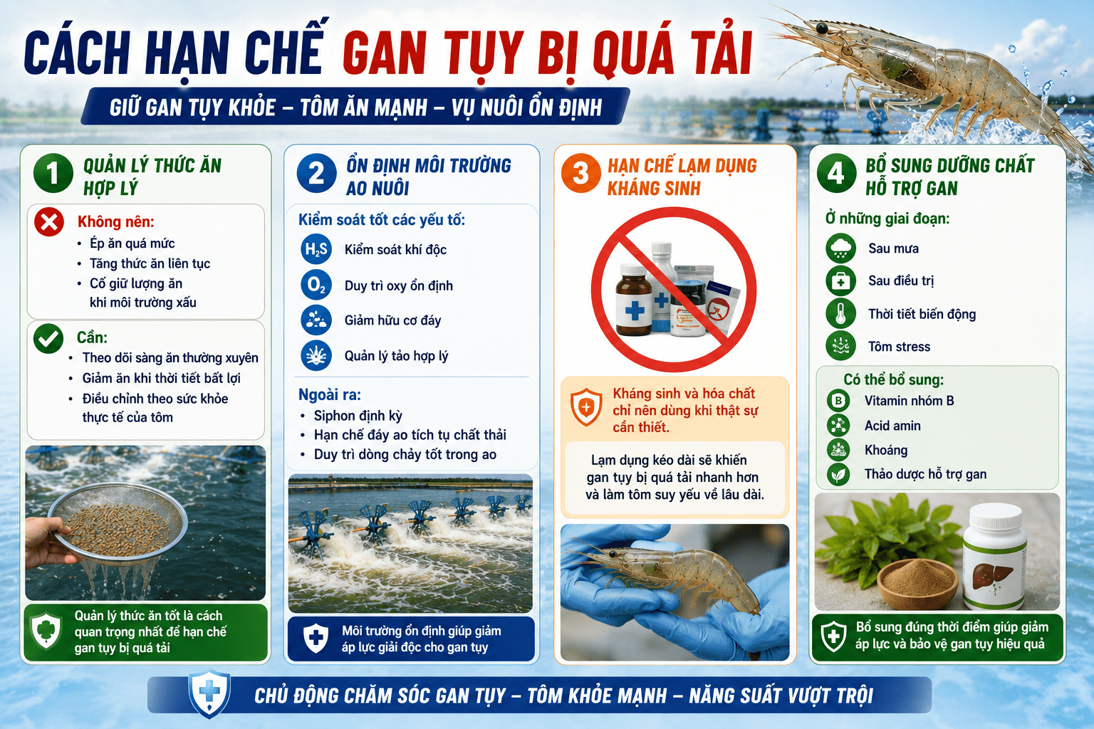 Cách Hạn Chế Gan Tụy Bị Quá Tải